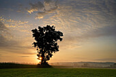  Morning mood near Wielenbach, Weilheim, Upper Bavaria, Bavaria, Germany 