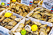 frische Austern aus der Normandie und der Manche in der Auslage am Fischmarkt (Poissonerie) in Trouville-sur-Mer (Trouville) an der Blumenküste (Côte Fleurie, Cote Fleurie) im Département Calvados in der Region Normandie in Frankreich