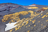 Etna National Park, Etna, Sicily, Italy