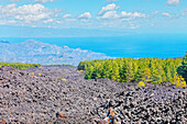 View of lava fields and the Ionian coast in the distance, Etna, Sicily, Italy