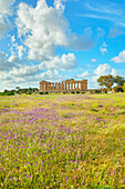  Tempel der Hera oder Tempel E, Archäologischer Park Selinunte, Selinunte, Bezirk Trapani, Sizilien, Italien 