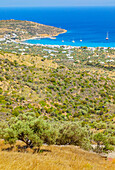  Strand von Platis Gialos, erhöhte Ansicht, Platis Gialos, Insel Sifnos, Kykladen, Griechenland 