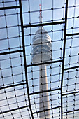 Blick durch das Glasdach (Olympiadach) zum Fernsehturm (Olympiaturm) im Olympiapark, München, Bayern, Deutschland