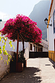  The Spanish village of Agulo in the mountains of La Gomera, taken at midday in the Canary Islands. 