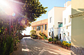  The port town of Valle Gran Rey on the Canary Island of Gomera in the midday sun. 