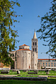  Zadar, Roman Catholic Church of Saint Donatus from Byzantine period, Dalmatia, Adriatic Sea, Croatia, Mediterranean Sea 