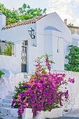  Views of Anafiotika, a small district of Athens, on the northeast slope of the Acropolis on the edge of the historic Plaka. 