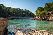 Calanque de Port Pin zwischen Cassis und Marseille, Provence, Frankreich, Europa