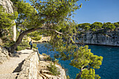 Calanque de Port Miou zwischen Cassis und Marseille, Provence, Frankreich, Europa