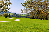 Landschaft bei Achental mit Weg nach Eßbaum am Samerberg im Chiemgau in Oberbayern in Deutschland