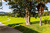  Wayside cross with wooden crucifix at the Mesnerkapelle lookout point in Grainbach and path to Eßbaum and Törwang on Samerberg in Chiemgau in Upper Bavaria in Germany 