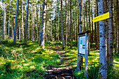  Samerberger Filze hiking trail at Brenkengraben near Törwang am Samerberg in Chiemgau in Upper Bavaria in Germany 