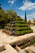 A pyramid of potted climbing plants in Dowlatabad Garden, 18th century regular Persian garden and UNESCO World Heritage Site in Yazd, Iran.