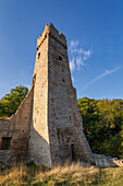 Blick auf die Philippsburg, Monreal, Landkreis Mayen-Koblenz, Rheinland-Pfalz, Deutschland