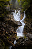 Frühherbst am Lainbach Wasserfall bei Kochel am See, Oberbayern, Bayern, Deutschland, Europa