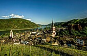 Blick vom Weinberg auf die Altstadt von Bacharach und in das Rheintal, Oberes Mittelrheintal, Rheinland-Pfalz, Deutschland