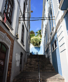  Images of the port city of Santa Cruz de La Palma on the Canary Island of La Palma, Spain. The images show the city center, views of the city and flower-decorated streets. 