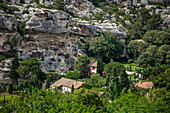  View of vineyards near Les Baux de Provence, Provence-Alpes-Côte d&#39;Azur, France 