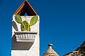  Kaktus mit einem süßen lächelnden Gesicht in Alberobello, Apulien, Italien. 