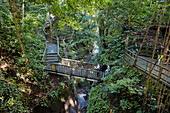  Hölzerne Fußgängerbrücke im Sacred Monkey Forest Sanctuary. Ubud, Bali, Indonesien. 