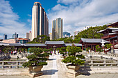  Bonsai-Garten im Chi Lin Nunnery, einem großen buddhistischen Tempelkomplex. Diamond Hill, Kowloon, Hongkong, China. 