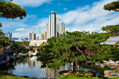 Ein alter großer Baum wächst am Teich im Nan Lian Garden, einem klassischen chinesischen Garten. Diamond Hill, Kowloon, Hongkong, China.