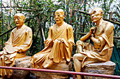  Statuen von Arhats (buddhistisches Äquivalent von Heiligen) auf dem Weg hinauf zum Kloster der Zehntausend Buddhas (Man Fat Sze). Sha Tin, New Territories, Hongkong, China. 