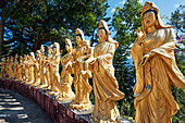  Statuen von Arhats (buddhistisches Äquivalent von Heiligen) im Kloster der Zehntausend Buddhas (Man Fat Sze). Sha Tin, New Territories, Hongkong, China. 