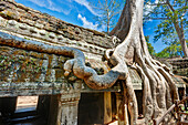 Overgrown ruins of ancient Ta Prohm temple. Angkor Archaeological Park, Siem Reap Province, Cambodia.