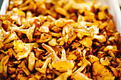 Florenz, Italien, Markt, Funghi, Pfifferlinge