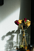 Rose, Golden, Flower, Still life Roses, Dry flowers, Shadow