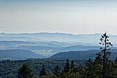  Großvaterstuhl, Große Heuscheuer, Gebirge, Szczelinicec Wielki, Gory Stolowe, Heuscheuergebirge, Karlow, Niederschlesien, Polen 