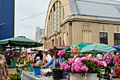 Blumenmarkt vor Markthalle Zentralmarkt, Markt in Riga, Lettland, Baltikum, Nordeuropa