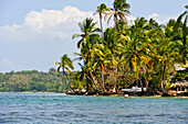  Boca del Drago, Insel Colon, Archipel Bocas del Toro, Republik Panama, Mittelamerika 