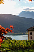 Blick auf Kalterer See im Herbst, Südtiorl, Italien