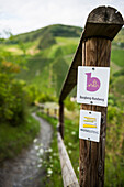  Hiking trail sign, Moselsteig, Bernkastel-Kues, Mosel, Rhineland-Palatinate, Germany 