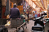 Esel für den Transport in der alten historischen Medina von Marrakesch, Marokko