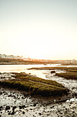  Rabat in the evening sun of Morocco 