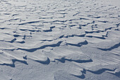  Snowdrifts, Dovrefjell-Sunndalsfjella National Park, Norway 