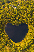 Herzförmiger See im Wald, Herbst, Schweden