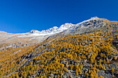  mountain landscape, larch, autumn, Gran Paradiso National Park, Italy 