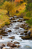  Mountain river Clemgia, Swiss National Park, Graubünden, Switzerland 