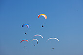 Gleitschirmflieger, Paragliding, an der Ostseeküste, Provinz Schonen, Schweden