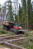 Harvester-Waldmaschine transportiert Bäume, Darlana, Schweden