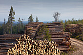 Holzstapel, Fichten- und Waldkiefernstämme, Darlana, Schweden