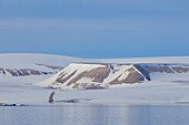 Landschaft in der Hinlopenstraße, Spitzbergen, Norwegen