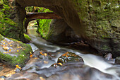  Kirnitzsch in Khaatal, Bohemian Switzerland National Park, Czech Republic 