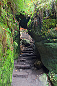 Schwedenlöcher, Elbsandsteingebirge, Nationalpark Sächsische Schweiz, Sachsen, Deutschland