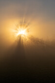  Sunrise at the Ammerdamm near Weilheim in late summer, Weilheim, Bavaria, Germany 