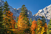  Colorful autumn in the Karwendel, Hinterriß, Karwendel, Tyrol, Austria, Europe 